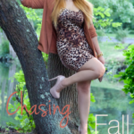 Chasing Fall